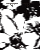 Fleur de Pureté Nuit