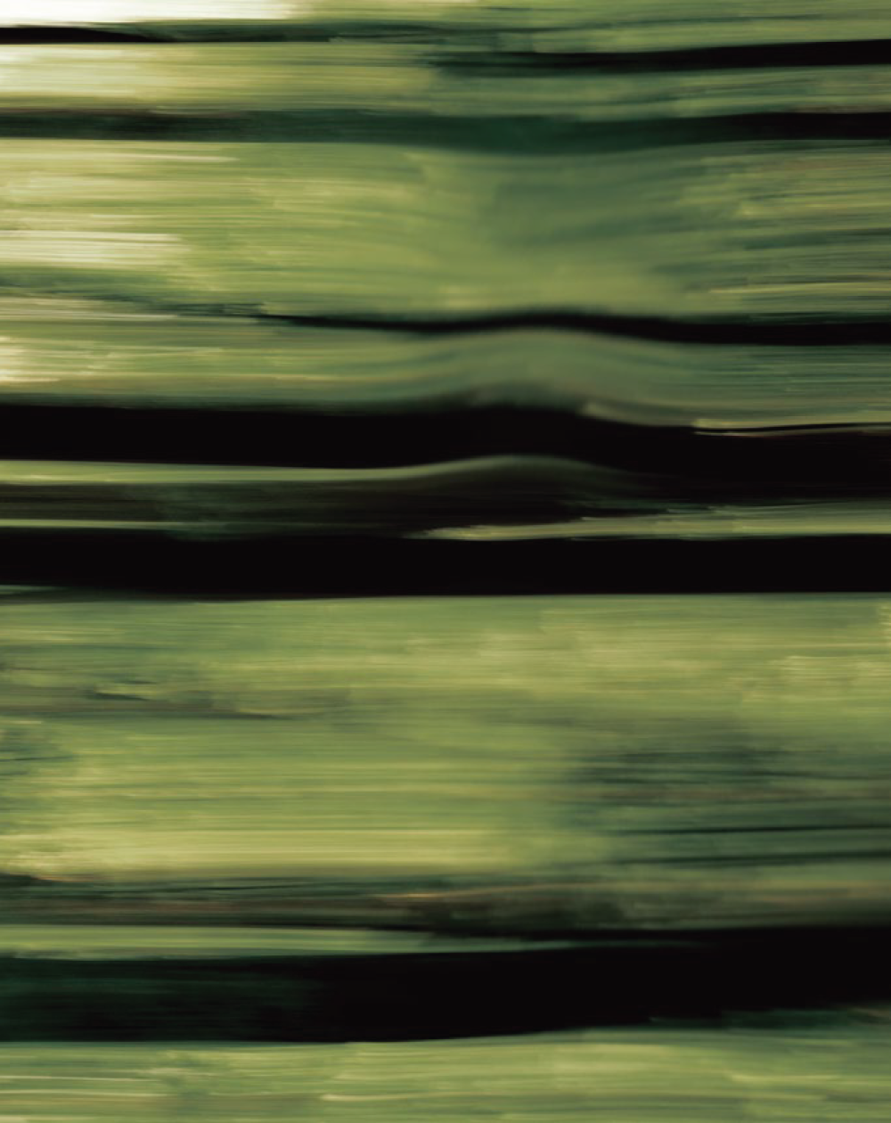 Floating Woods