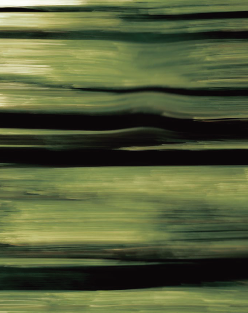 Floating Woods
