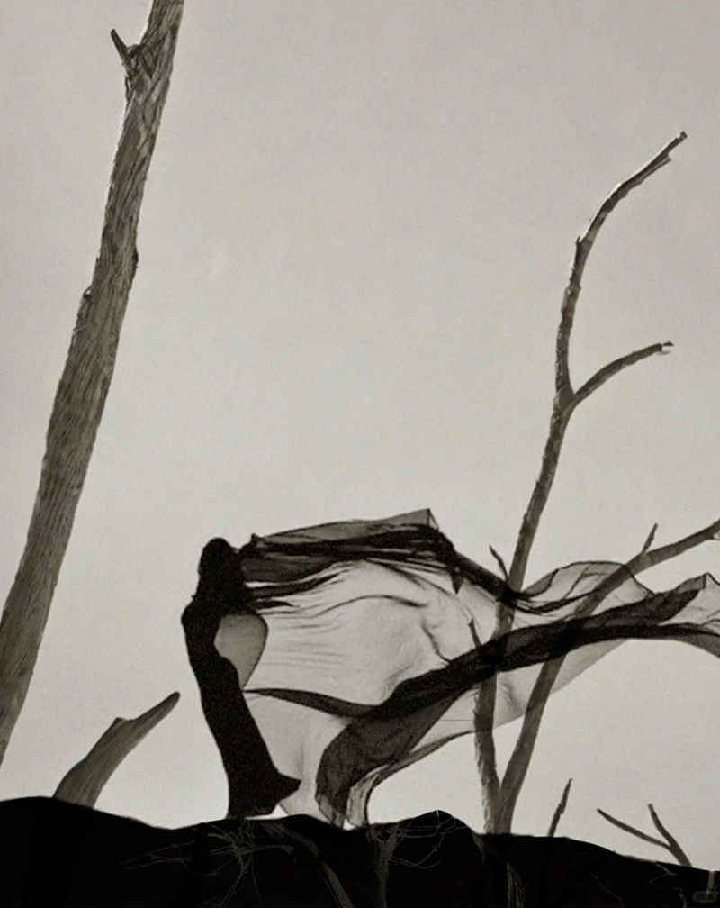 La Danse Du Desert