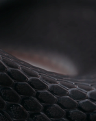 La Radeau De La Meduse